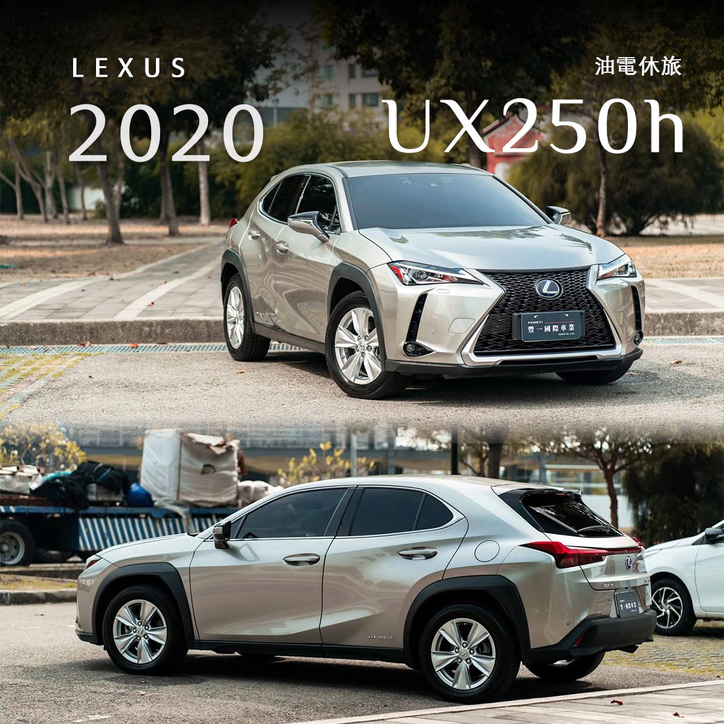 UX250h